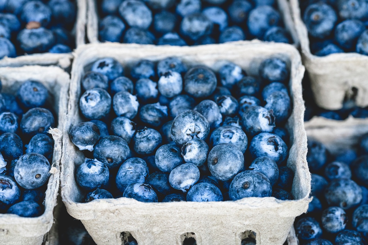 blueberries, bunch, berries-1326154.jpg